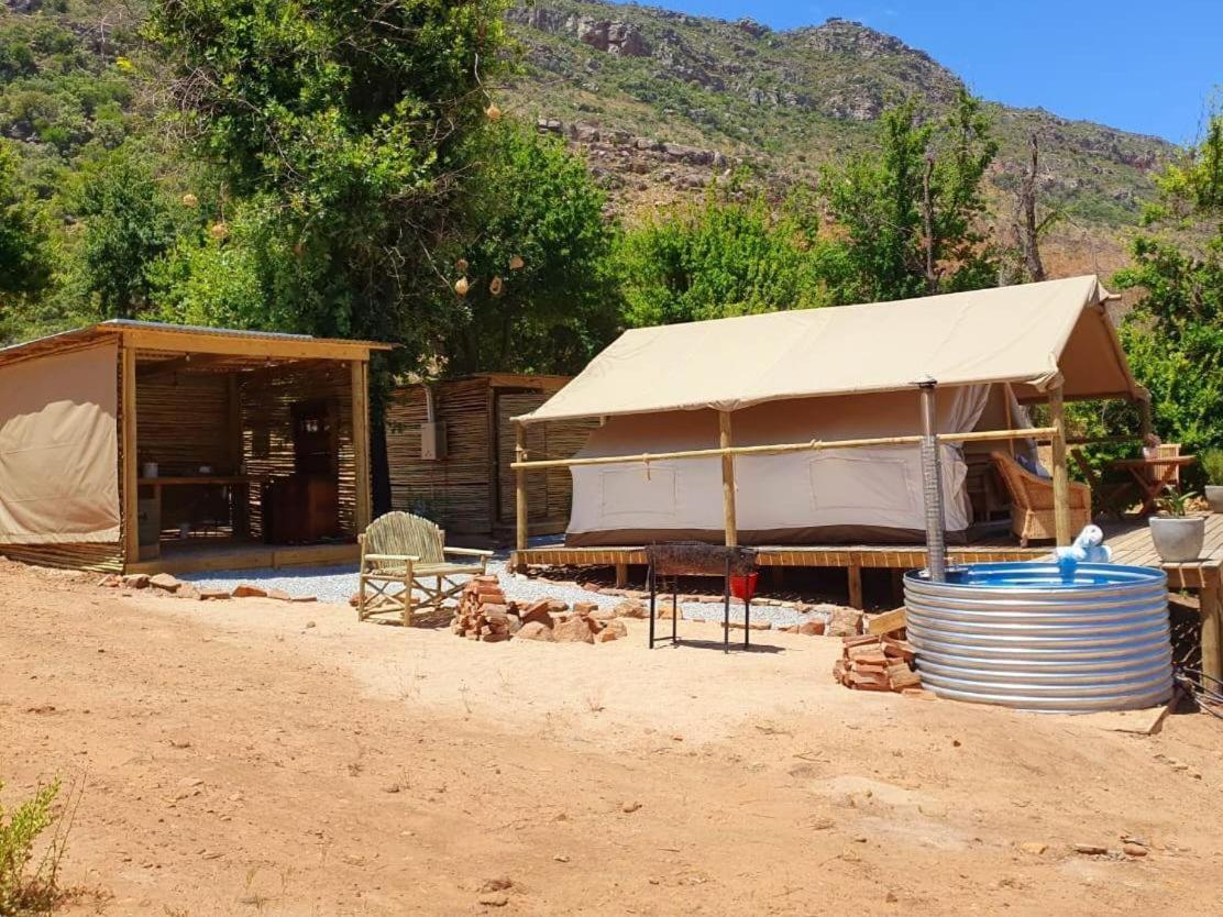 Leopard Valley Eco Retreat Citrusdal Rum bild