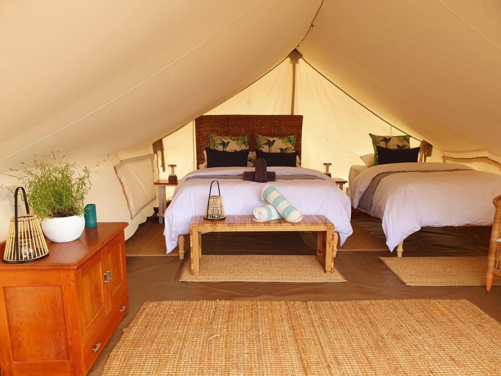 Leopard Valley Eco Retreat Citrusdal Rum bild