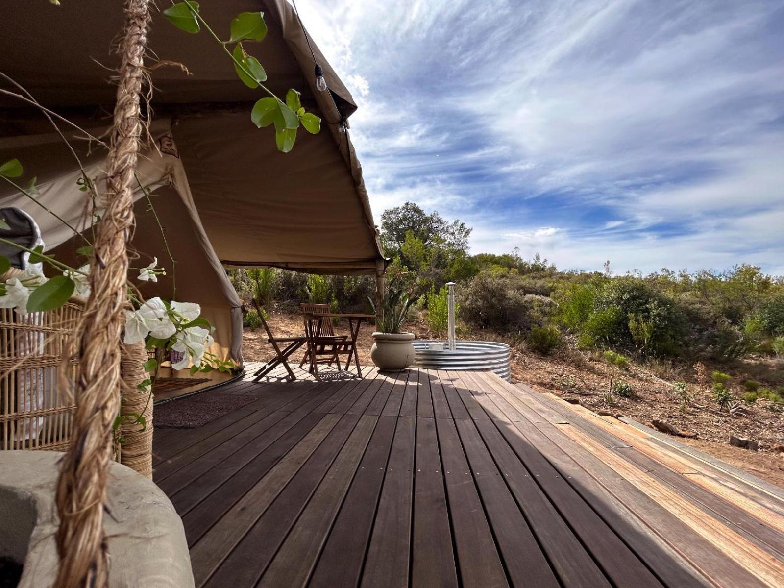 Leopard Valley Eco Retreat Citrusdal Rum bild