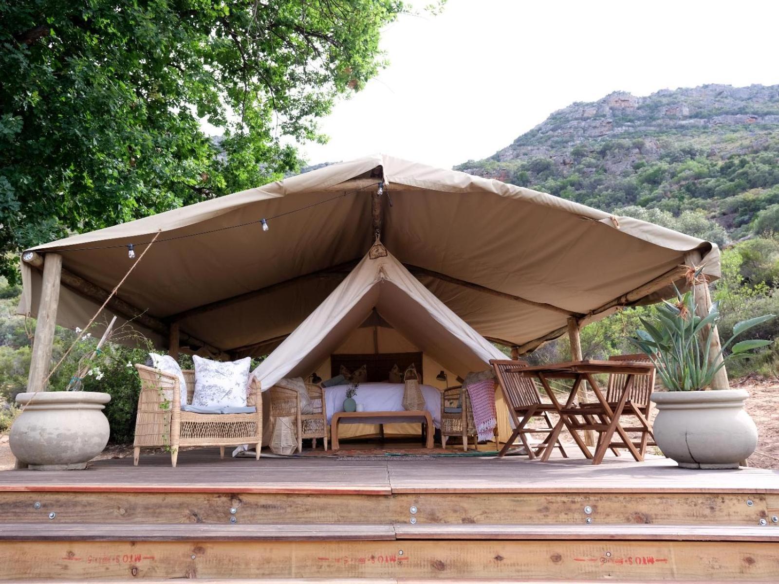 Leopard Valley Eco Retreat Citrusdal Rum bild