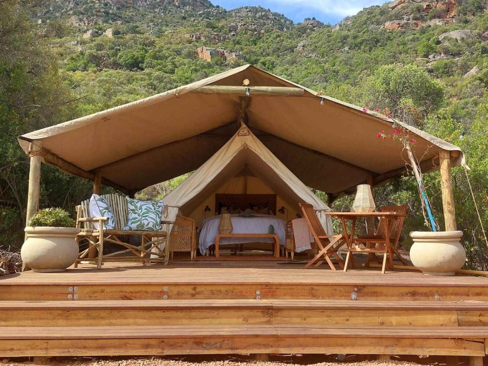 Leopard Valley Eco Retreat Citrusdal Rum bild