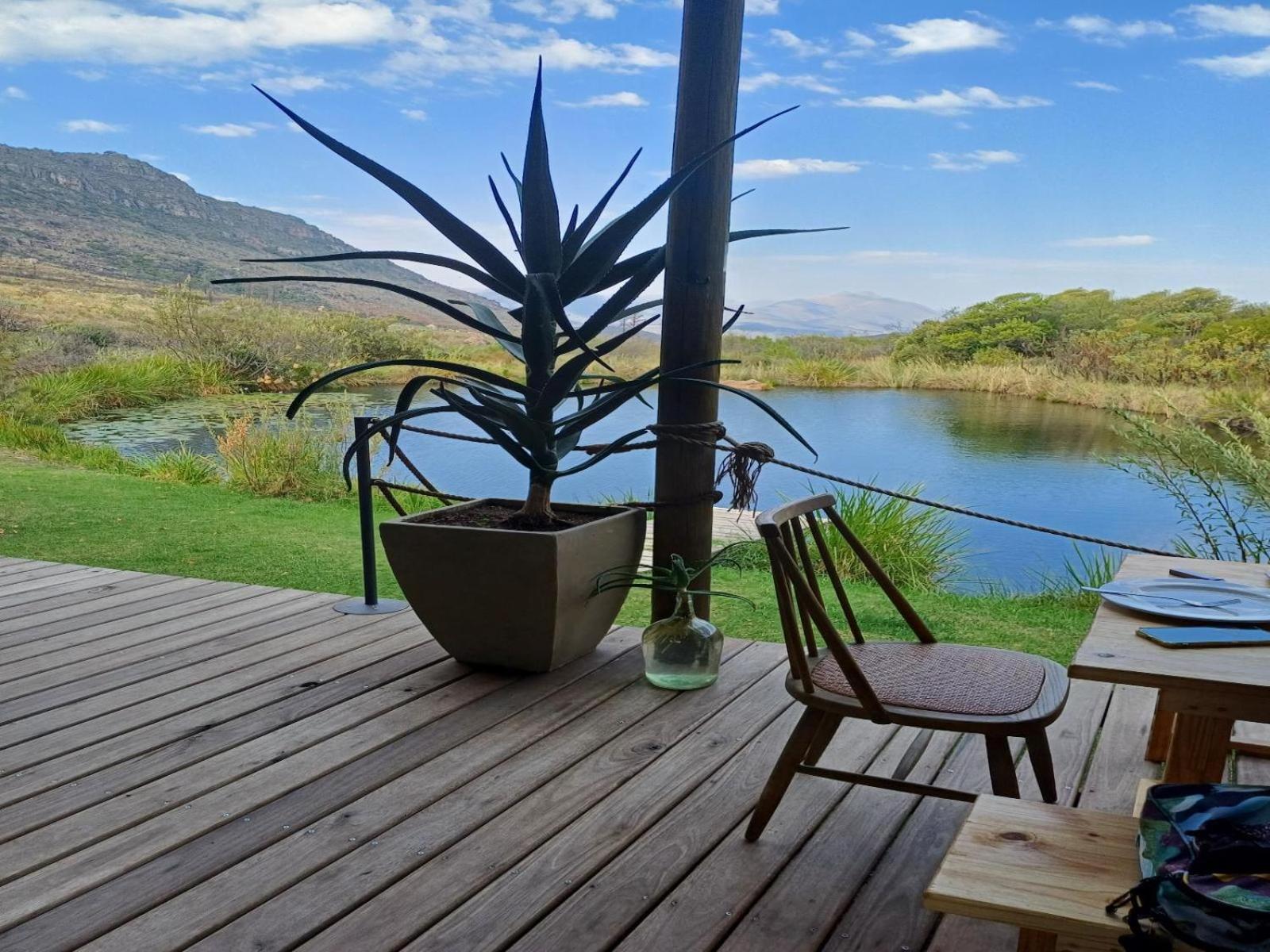 Leopard Valley Eco Retreat Citrusdal Rum bild